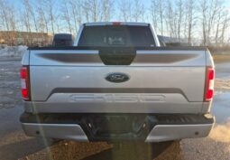 
										2019 Ford F-150 XLT full									