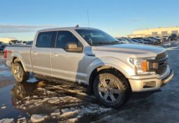 
										2019 Ford F-150 XLT full									