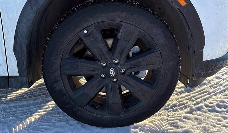 
								2024 Hyundai Palisade Urban full									