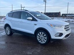 
										2019 Ford Escape SEL full									