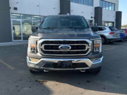 
										2021 Ford F-150 XLT full									