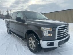 
										2017 Ford F-150 XLT XTR full									