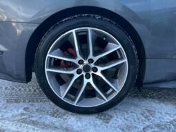 
										2017 Ford Mustang EcoBoost full									