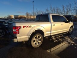 
										2019 Ford F-150 XLT full									