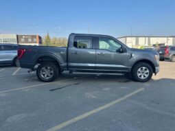 
										2021 Ford F-150 XLT full									