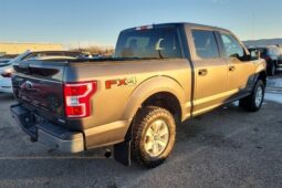 
										2020 Ford F-150 XLT full									