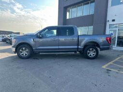 
										2021 Ford F-150 XLT full									