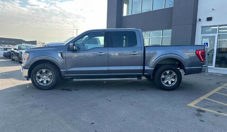 
								2021 Ford F-150 XLT full									