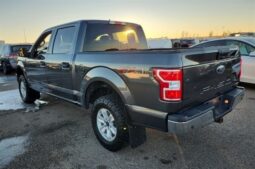 
										2020 Ford F-150 XLT full									