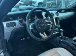 
										2017 Ford Mustang EcoBoost full									