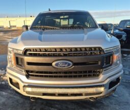 
										2019 Ford F-150 XLT full									