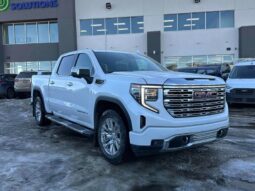 
										2022 GMC Sierra 1500 Denali full									