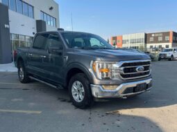 
										2021 Ford F-150 XLT full									