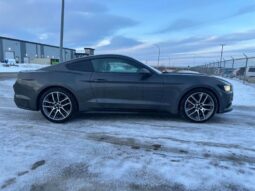 
										2017 Ford Mustang EcoBoost full									