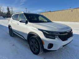 
										2024 Kia Seltos EX Premium Leather Sunroof full									