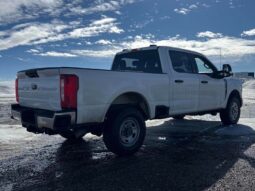 
										2023 Ford F-250 Super Duty XL full									