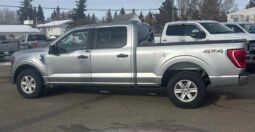 
										2023 Ford F-150 XLT 5.0L full									