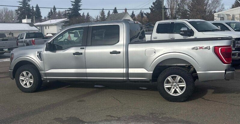 
								2023 Ford F-150 XLT 5.0L full									
