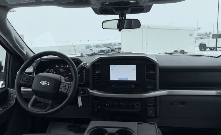 
								2023 Ford F-150 XLT 5.0L full									