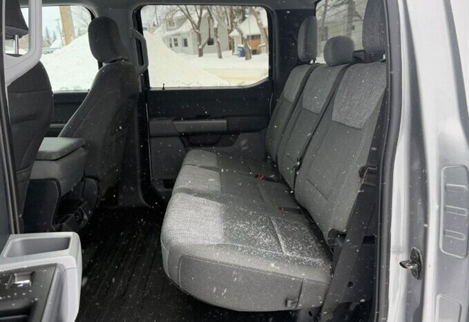 
								2023 Ford F-150 XLT 5.0L full									