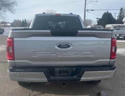 
										2023 Ford F-150 XLT 5.0L full									