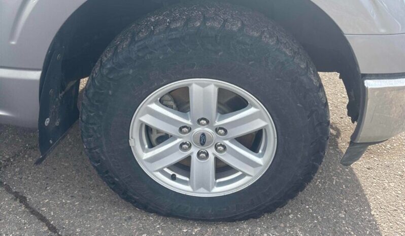 
								2023 Ford F-150 XLT 5.0L full									