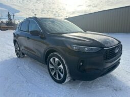 
										2025 Ford Escape Platinum Moonroof full									