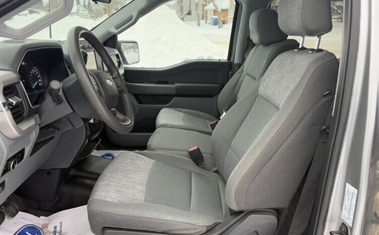 
								2023 Ford F-150 XLT 5.0L full									