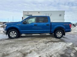 
										2017 Ford F-150 XLT full									