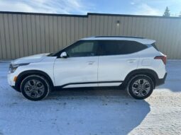 
										2024 Kia Seltos EX Premium Leather Sunroof full									