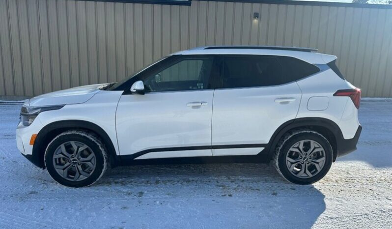 
								2024 Kia Seltos EX Premium Leather Sunroof full									