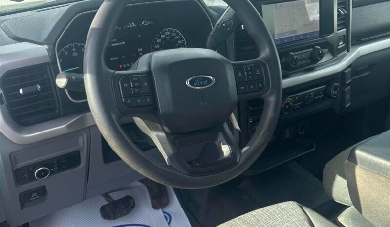 
								2023 Ford F-150 XLT 5.0L full									